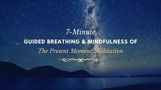 ✨ 7Minute Guided Breathing and Mindfulness of the Present Moment Meditation ✨ [upl. by Amehsat756]