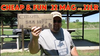 Chiappa 22 Review [upl. by Airdnazxela]