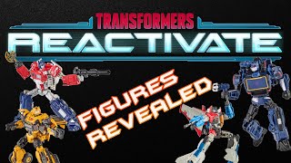 TRANSFORMERS REACTIVE FIGURES REVEALED  Giant Robot News Nov 14 2023  transformers [upl. by Leonelle388]