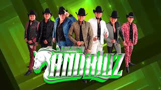 Inténtalo  Conjunto Andaluz Estreno 2022 Huapango Merequetengue [upl. by Eiznek557]