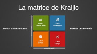 Comprendre la Matrice de Kraljic en 2024 [upl. by Noreik408]