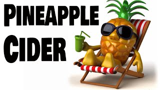 Making Pineapple Hard Cider An EASY StepbyStep Guide [upl. by Kanter]