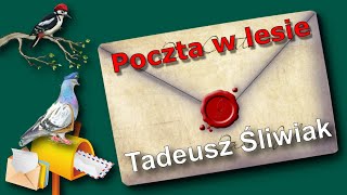 Tadeusz Śliwiak – Poczta w lesie  wiersze dla dzieci  czytamy po polsku [upl. by Millian]