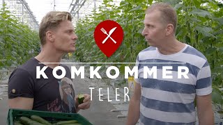 Snack komkommers kweken  Tuinbouwbedrijf van den Beuken [upl. by Merrell]