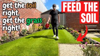 WHY and WHEN should you FEED a newly turfed LAWN [upl. by Oliva]