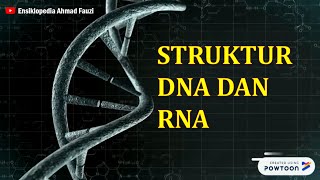 Struktur DNA dan RNA [upl. by Rebe447]