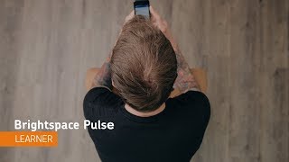 Brightspace Pulse  Navigation  Learner [upl. by Holli]