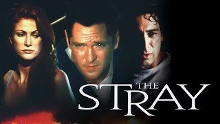 The Stray  Full Movie [upl. by Atsirt]