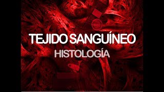 Tejido sanguíneo  Histología [upl. by Aisayn219]