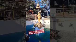 Monkey Temple Swayambhu Nath In Kathmandu Nepal [upl. by Kitti737]