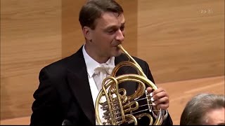 Tchaikovskys 5th Symphony horn solo [upl. by Lavud267]