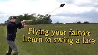 Falconry Basics  Introduction To Lure Flying Your Falcon [upl. by Coshow427]