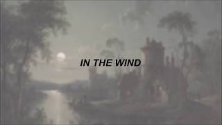 Lord Huron  In the Wind  Lyrics [upl. by Luzader]