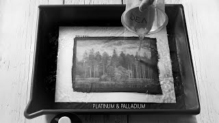 How I make Platinum Palladium Photo Prints [upl. by Ayimat]