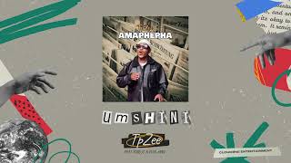 TpZee feat King JS amp Plugman  Umshini Official Audio [upl. by Ardeid809]