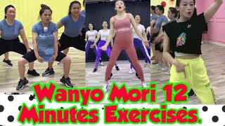 12 minutes Work Out Collections of Wanyo Mori [upl. by Eesac]