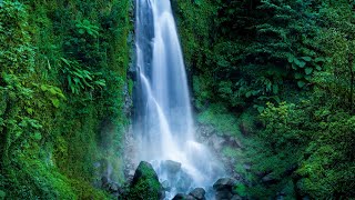 Roaring Waterfall White Noise  Falling Water Sounds for Sleeping [upl. by Mikkel]