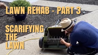 Dethatching vs Scarifying When should I scarify my lawn  Lawn Rehab  Overseeding  Part 3 [upl. by Yaluz209]