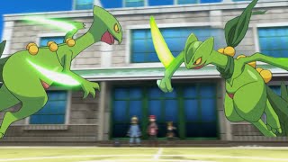 Ashs Sceptile Vs Sawyers Sceptile  Comparison video [upl. by Rugg128]