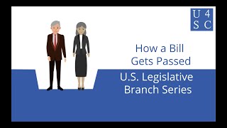 How a Bill Gets Passed From Bill to Law  US Legislative Branch Series  Academy 4 Social Change [upl. by Padriac]