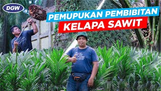 Cara Tepat Pemupukan Pembibitan Kelapa Sawit [upl. by Ervine]