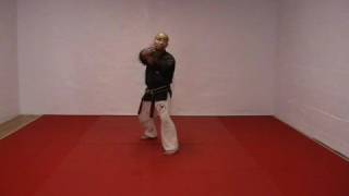 CASA DE KENPO  AMERICAN KENPO  SHORT FORM 1 [upl. by Garlanda]