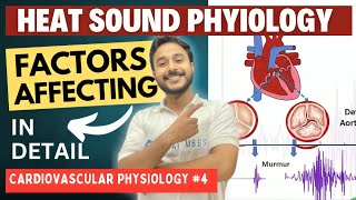 heart sound physiology  type of heart sounds and murmurs  cardiovascular system physiology [upl. by Ernestine739]