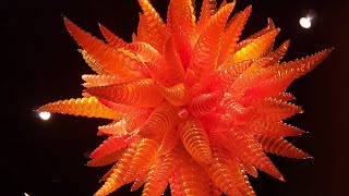 Chihuly Glass and Garden Museum Seattle [upl. by Sezen437]