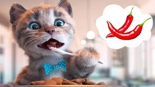 Little Kitten Preschool Adventure Educational Games Play Fun Cute Kitten Pet Care Learning Gameplay [upl. by Richlad286]