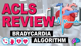 Bradycardia  ACLS Review [upl. by Euqinomod68]