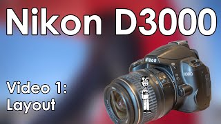 2021 vs 2017 Daiwa Legalis LT 3000DC First Impression and Comparison Best Spinning Reel at 69 [upl. by Duntson]