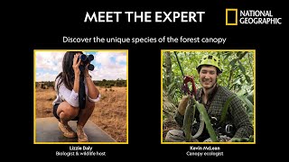 Animal Life in the Forest Canopy  Meet the Expert  National Geographic [upl. by Amund]