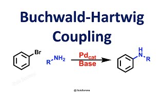 BuchwaldHartwig Coupling [upl. by O'Brien]