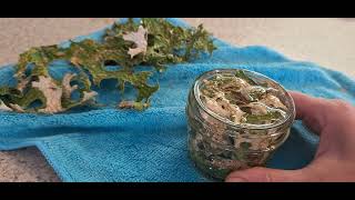 How I tincture Lungwort Lichen [upl. by Kalagher]