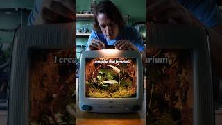 I made an iMac terrarium [upl. by Asirahc649]