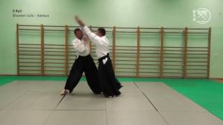 Aikido Test requirements 3 KYU [upl. by Guenzi463]