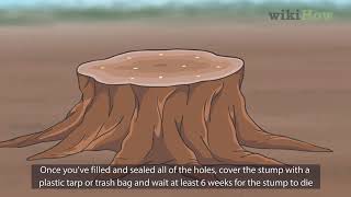 How to Kill a Tree Stump [upl. by Colwen]