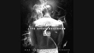 lil boosie  the fall slowed [upl. by Atnoved687]