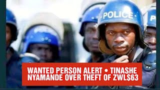 WANTED PERSON ALERT •TINASHE NYAMANDE OVER THEFT OF 63m  DAILY NEWS [upl. by Edita202]