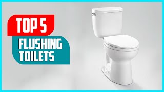 Top 5 Best Flushing Toilets 2023 Review amp Buyers Guide [upl. by Ahsyen836]