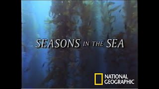 National Geographic  Seasons in the Sea VHS1990 [upl. by Dolph136]