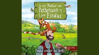 Pettersson und Findus Versprochen ist versprochen [upl. by Peale542]