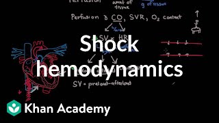 Video Overview of Cardiac Dynamics – Edwards Lifesciences [upl. by Aicilav]