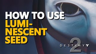 How to use Luminescent Seed Destiny 2 [upl. by Rehm]