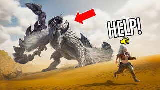 Monster Hunter Wilds WTF amp Funny Moments 1 [upl. by Helali]