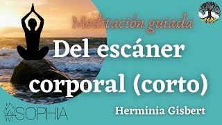 Meditación Guiada del escáner corporal o Body scan corto [upl. by Nnylg148]