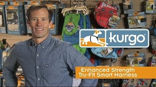 Kurgo Enhanced Strength Dog Car Harness [upl. by Borries]