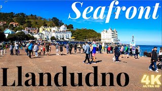 A walk through LLANDUDNO Wales  Full Llandudno Promenade and Llandudno Pier Tour [upl. by Goodman]