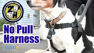 Freedom No Pull Harness from 2 Hounds Design [upl. by Pan]