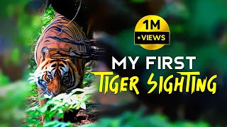 T86 Ranthambore National Park  Tiger Safari  4K Video Hindi  हिन्दी [upl. by Devad209]